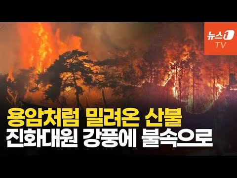 모든 걸 다 태운 &amp;#39;불지옥&amp;#39; 공포…바람타고 &amp;#39;화르르&amp;#39; 산불 재확산