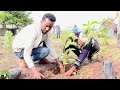 Miseensotni Mana Maree Magaalaa Adaamaa Duulaan Biqiltuu Ashaaraa Magariisaa Dhaaban Miseensotni Mana Maree Magaalaa Adaamaa Duulaan Biqiltuu Ashaaraa Magariisaa Dhaaban