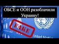 ОБСЕ и ООН РАЗОБЛАЧИЛИ УКРАИНУ! (2021)