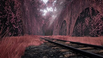 [Unreal Engine 4] La Petite Ceinture Railway