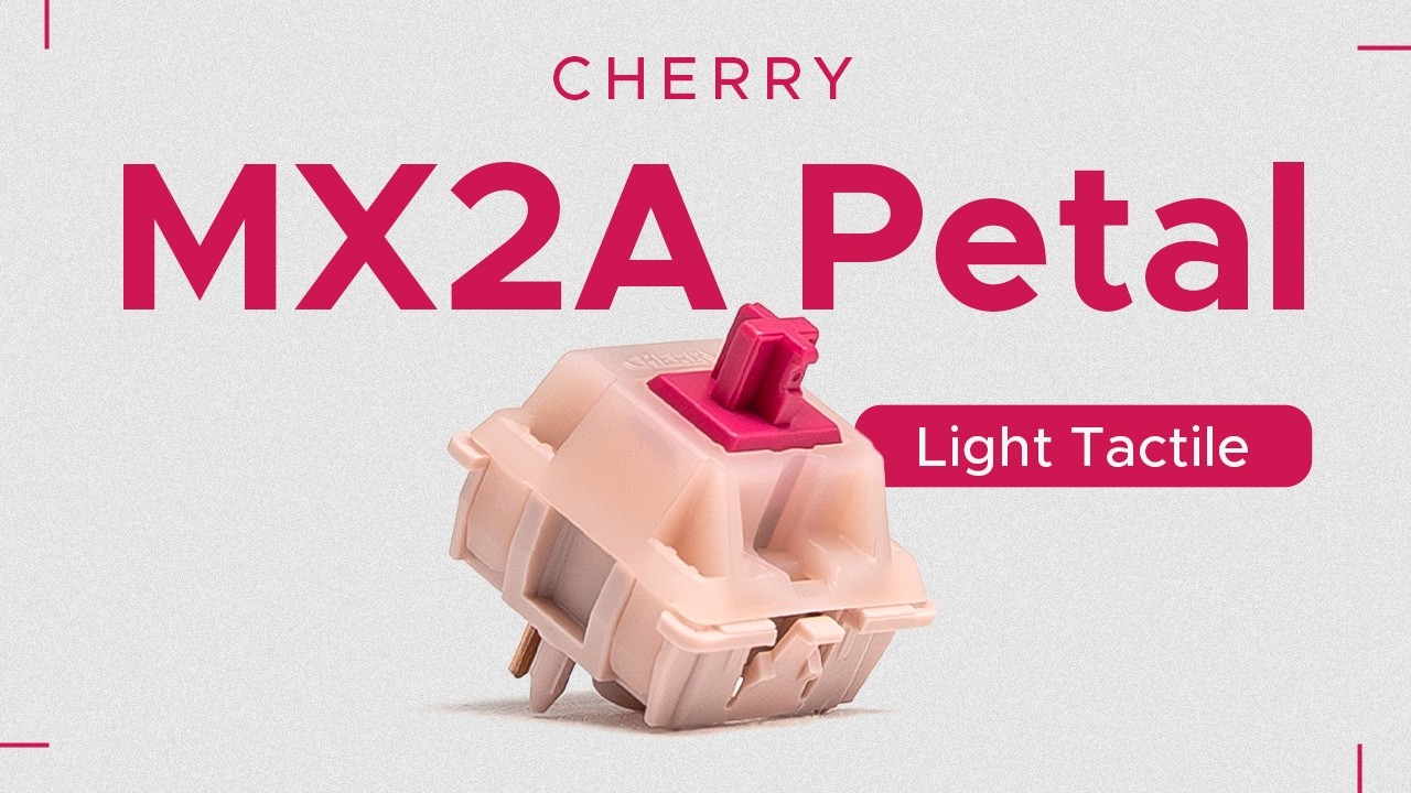 Cherry MX2A Petal Light Tactile Switches (18 Pack) – Divinikey