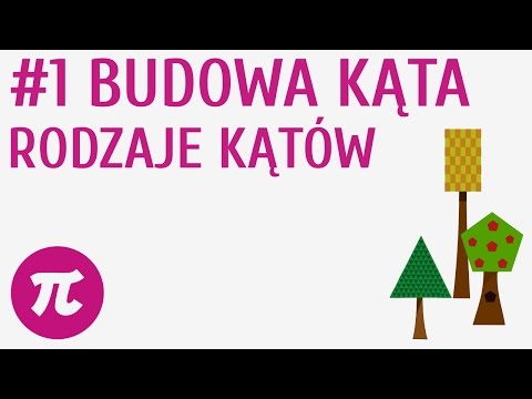 Wideo: Co to jest element hosta w kącie?