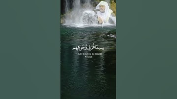 أداء استثنائي من سورة الفتح لفضيلة الشيخ ياسر الدوسري #تجويد #religion #القرآن_الكريم #quran