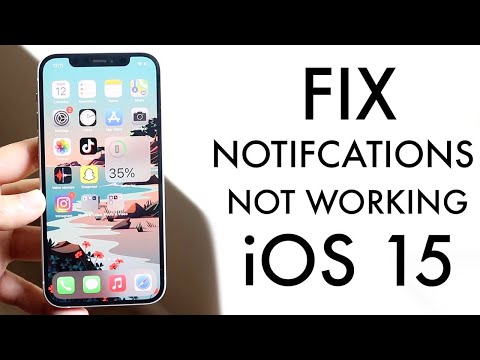 How To FIX Notifications Not Working On iOS 15