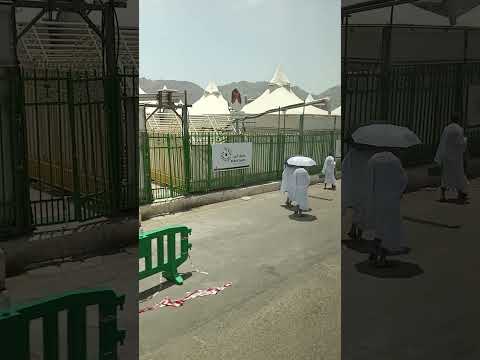 mina live Hajj 2023 #hajj #Mina #Alharam #Islam #Mashair