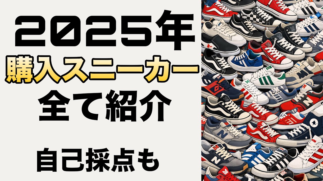 2025年購入スニーカーを全て紹介　vansが多い！　自己採点の結果は