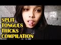 Split Tongues tricks compilation