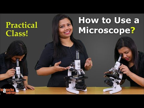Video: Kokią mikroskopo dalį naudojote mėginiui perkelti?