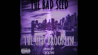 The Bad Seed - The Old Brooklyn produced by Cj Dove. (From the LP Get Home Safe)