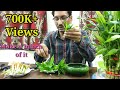 How to Propagate Lucky Bamboo through Cuttings.