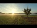 Early morning in Swiss countryside