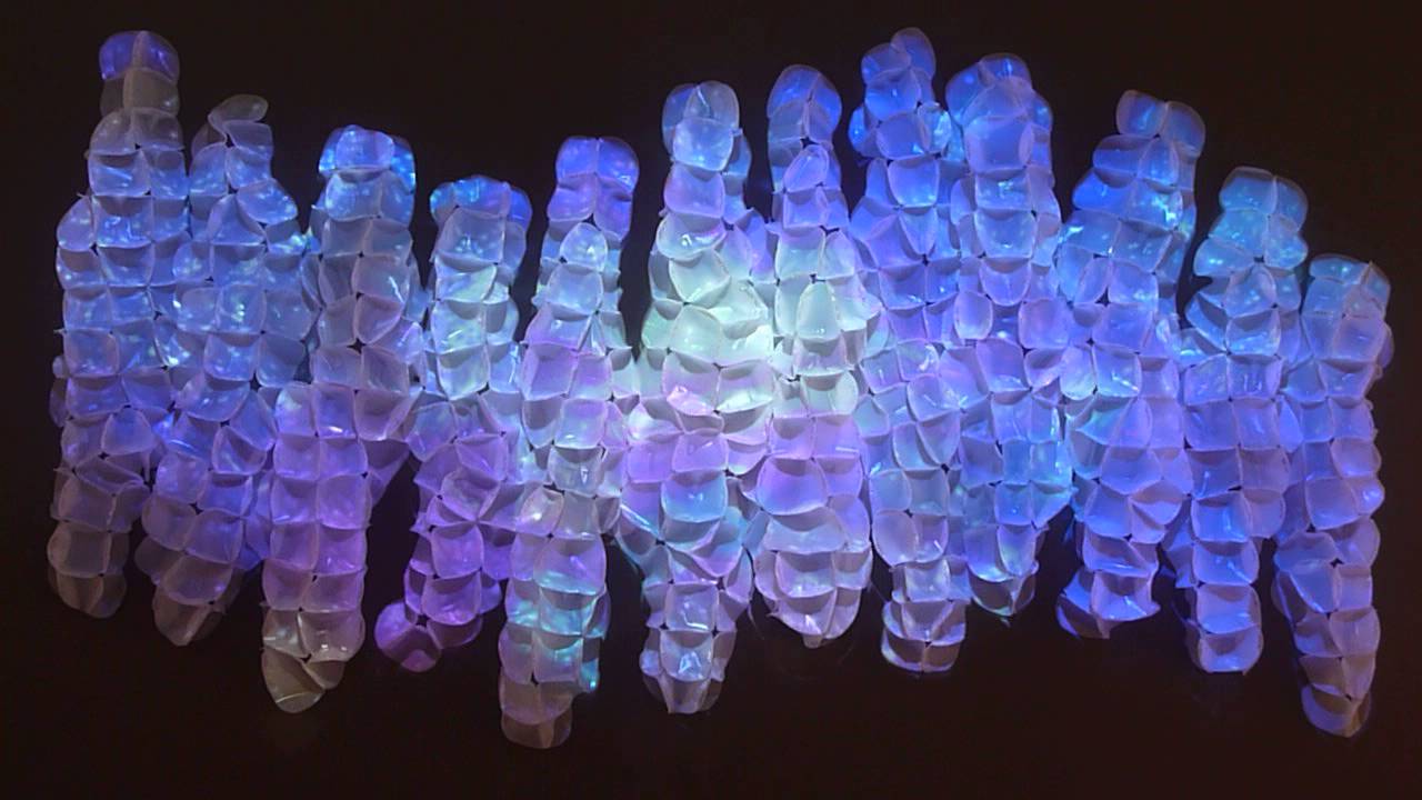 'Metamorphosis: Light & Movement'