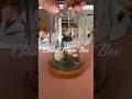 unboxing the most magical totoro music box ✨🍃