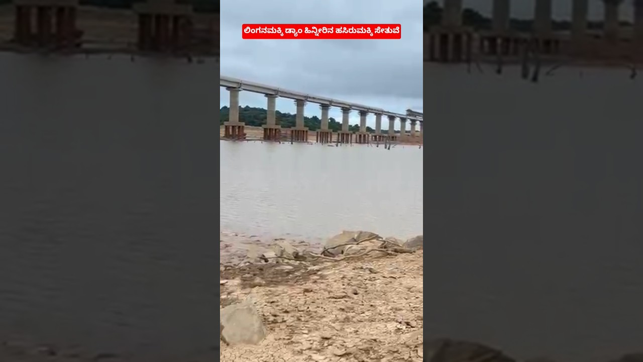 ಮಳೆ ಕೊರತೆಯಿಂದ ಲಿಂಗನಮಕ್ಕಿ ಡ್ಯಾಂ ನೀರಿನ ಸಂಗ್ರಹ ಇಳಿಕೆಯಾಗಿದೆ. ಹಿನ್ನೀರಿನ ಹಸಿರುಮಕ್ಕಿ ಸೇತುವೆ ದೃಶ್ಯ. #rain