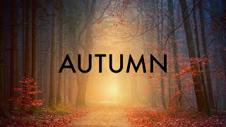 AUTUMN - Relaxing Piano Music for Meditation, Study, Yoga, Sleep, Relaxation, Anxiety, Mindfulness by TIME OUT - The Relax Channel 23,372 views 4 years ago 3 minutes, 39 seconds