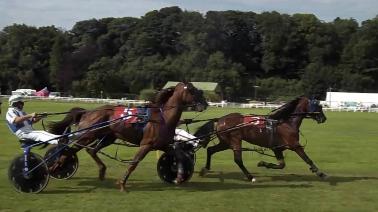 HARNESS RACING FINAL TURRIFF SHOW 2016 HD YouTube