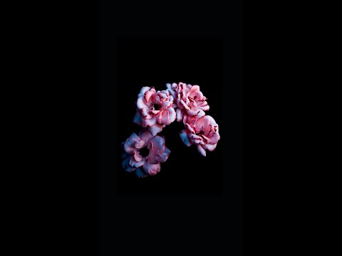 When The Roses Bloom Again Sub.
