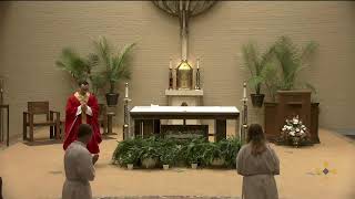 Daily Mass, Thursday July 9, 2026
