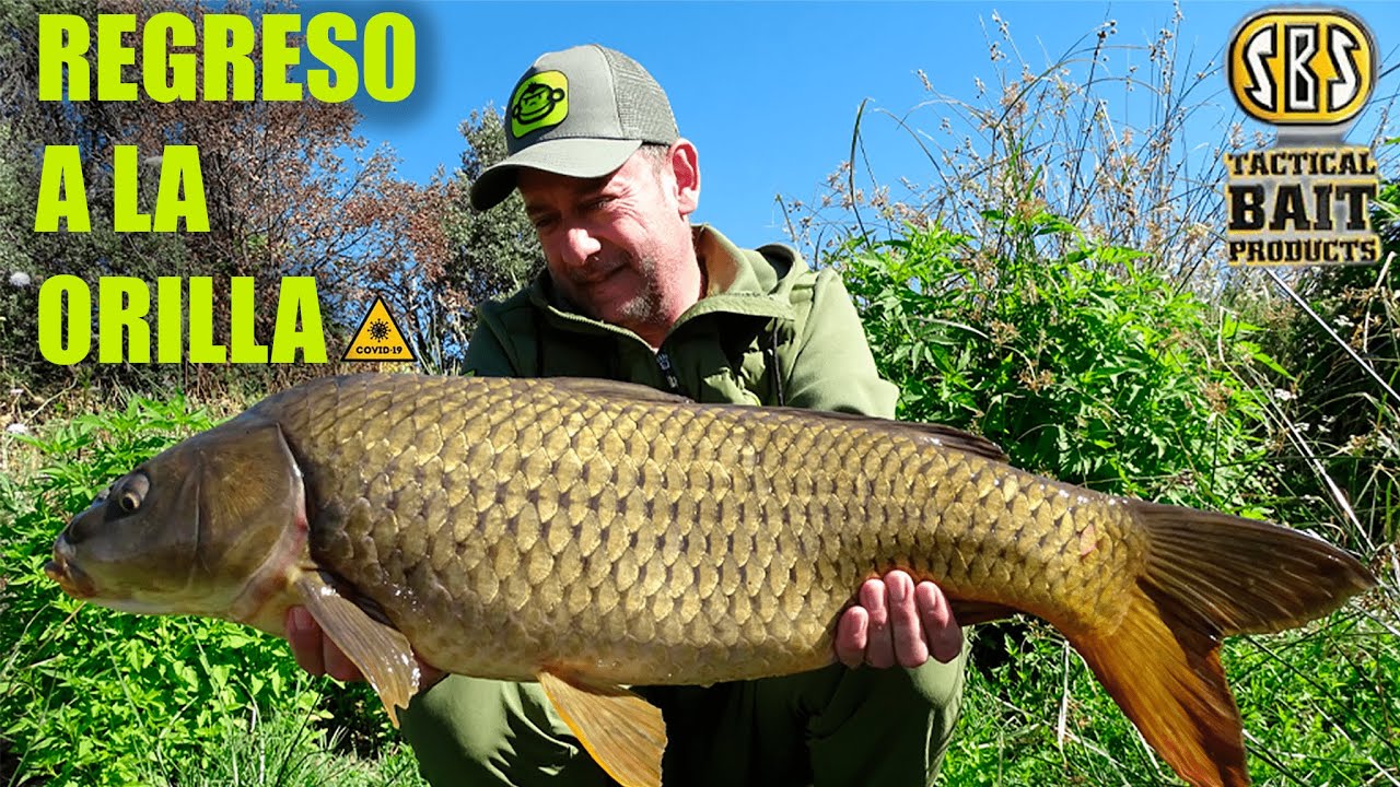 CARPFISHING | Regreso a la orilla | José Rey