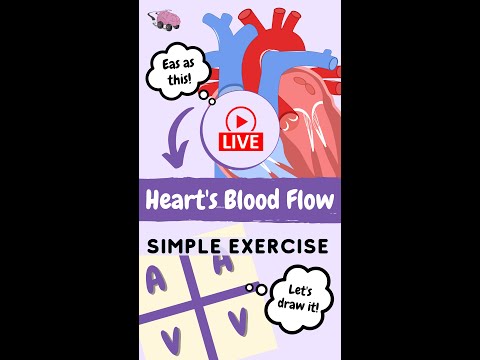 Heart's Blood Flow