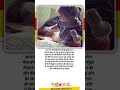 मौसी की शादी में मैं ढेर सारा मेकअप करूंगी#trending #love #motivation #cutebaby #viral #yt #masoom