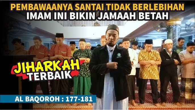 Qiz mushuk bilan turli xil narsalarga otiradi Qiz mushuk bilan turli xil narsalarga otiradi