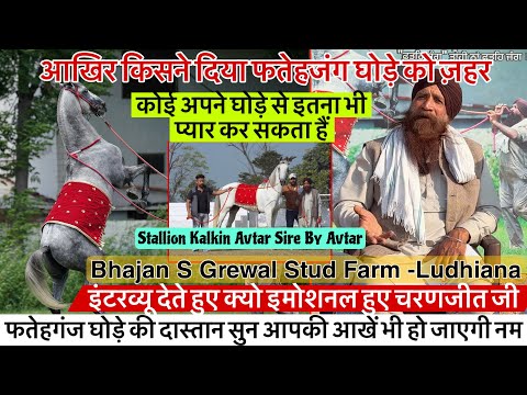आखिर किसने दिया फतेहजंग घोड़े को ज़हर क्या कोई इतना भी प्यार कर सकता हैं अपने घोड़े से !