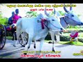 Madurai kottakudi jallikattu first prize kottaiyur ganesh avaniyaapuram skr