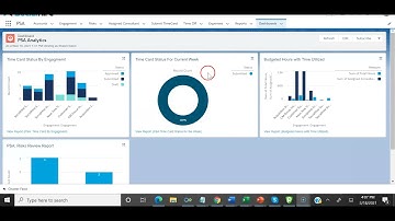 Professional Services Automation (PSA) on Salesforce using SocialHire
