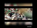 الجوارح 3 العين 2 نهائي كأس اتصالات