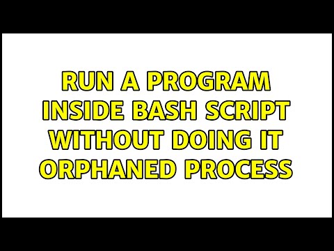 run a program inside bash script without doing it orphaned process