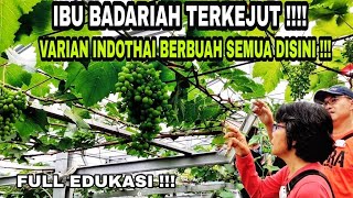 SIDAK VARIAN INDOTHAI YG SEDANG BERBUAH BERSAMA IBU BADARIAH & MR. WORACHEST DARI THAILAND