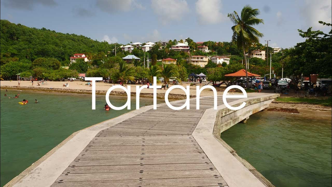 Presqu'île de la Caravelle, Martinique - 4K UHD - Virtual Trip