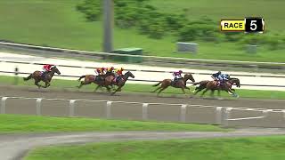 Vidéo de la course PMU CLASSE 5 (1)