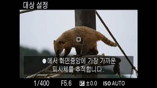 Sony iii Af S Af C Test Youtube