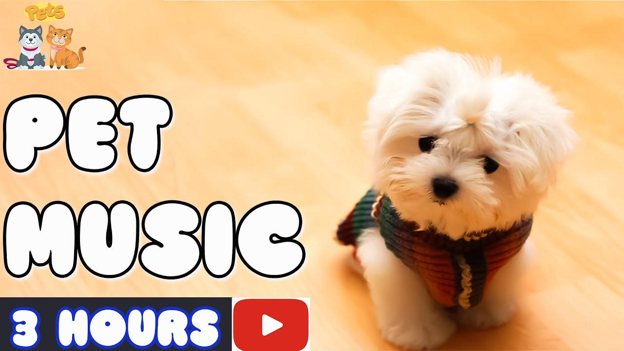 Calming Music For Puppies With Anxiety Deep Soothing Music For calming-music-for-puppies-with-anxiety-deep-soothing-music-for