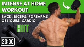 Intense 20 Minute At Home Workout with Dumbbells | Back, Biceps, Forearms, Obliques & Cardio HIIT! screenshot 4