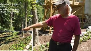 INSTALLING A PIET OUDOLF GARDEN, PART 2  Episode #51