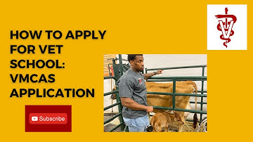 How to Apply to Vet School: VMCAS Application