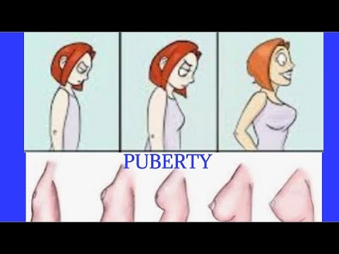 The Common medical conditions in tanner stages of puberty