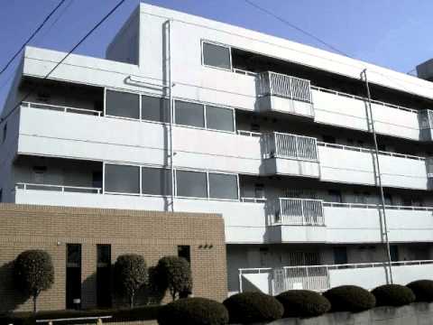 ハイツニューエイト 3DK　わらび 賃貸 マンション　新婚さん向き