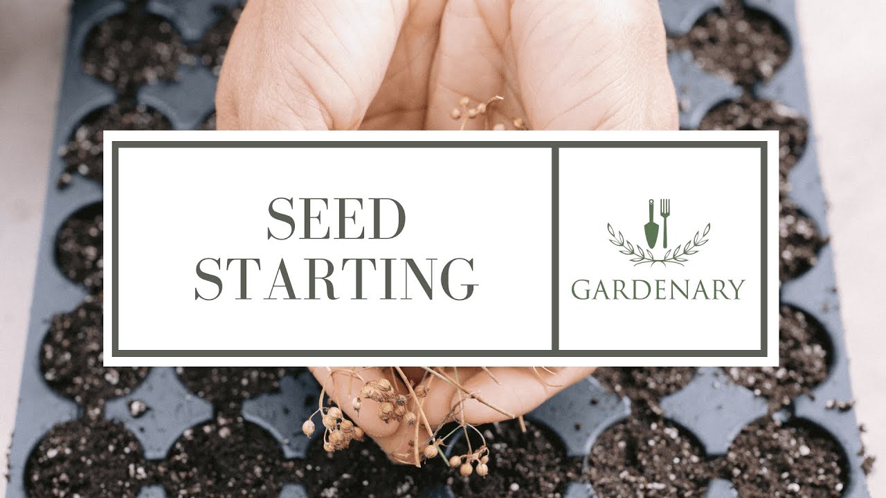 Seed Starting: 2 Supplies