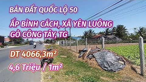 MS 278: BÁN ĐẤT QL50 giá 4,6 TRIỆU/1M² XÃ YÊN LUÔNG GÒ CÔNG TÂY TIỀN GIANG