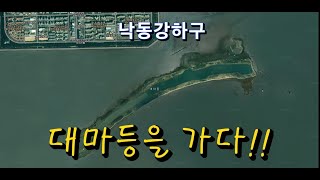 대마등 영상
