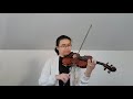叶振棠 &amp; 陈秀雯 - 情缘万世长 (电视剧《穆桂英大破天门阵》主题曲) | Violin Cover by Angela