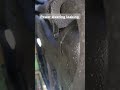 Power steering leaks
