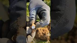 digging up silver jewellery