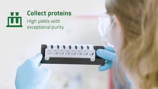Automated membrane protein purification with PlateX MP™