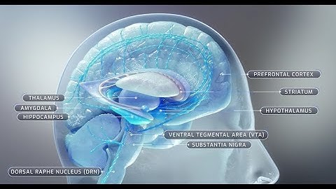 TAAR1: Trace Amine-Associated Receptor