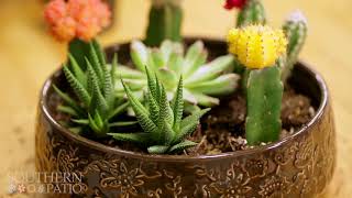 Ceramic Planter Pots